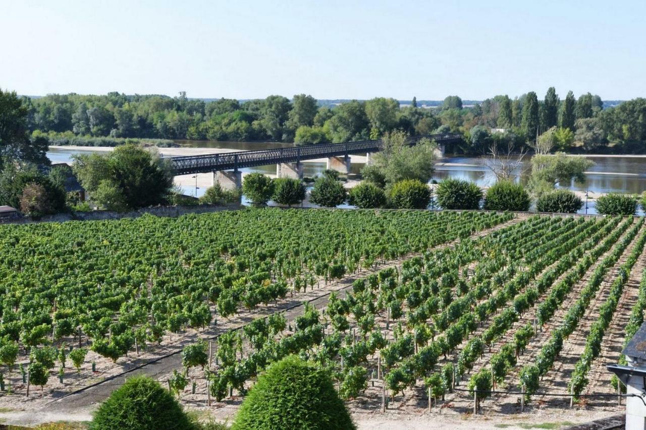 Gîte des Chaumiennes Pouilly-sur-Loire Extérieur photo