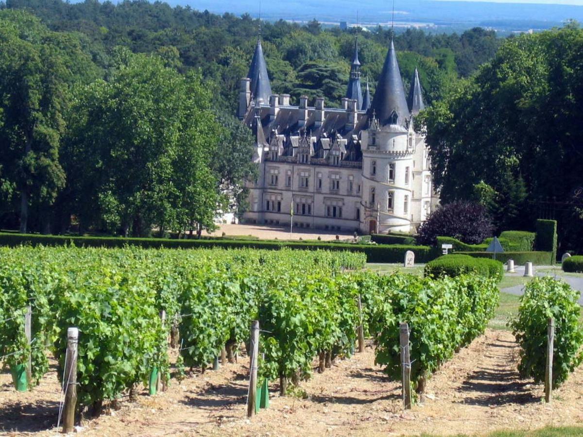 Gîte des Chaumiennes Pouilly-sur-Loire Extérieur photo