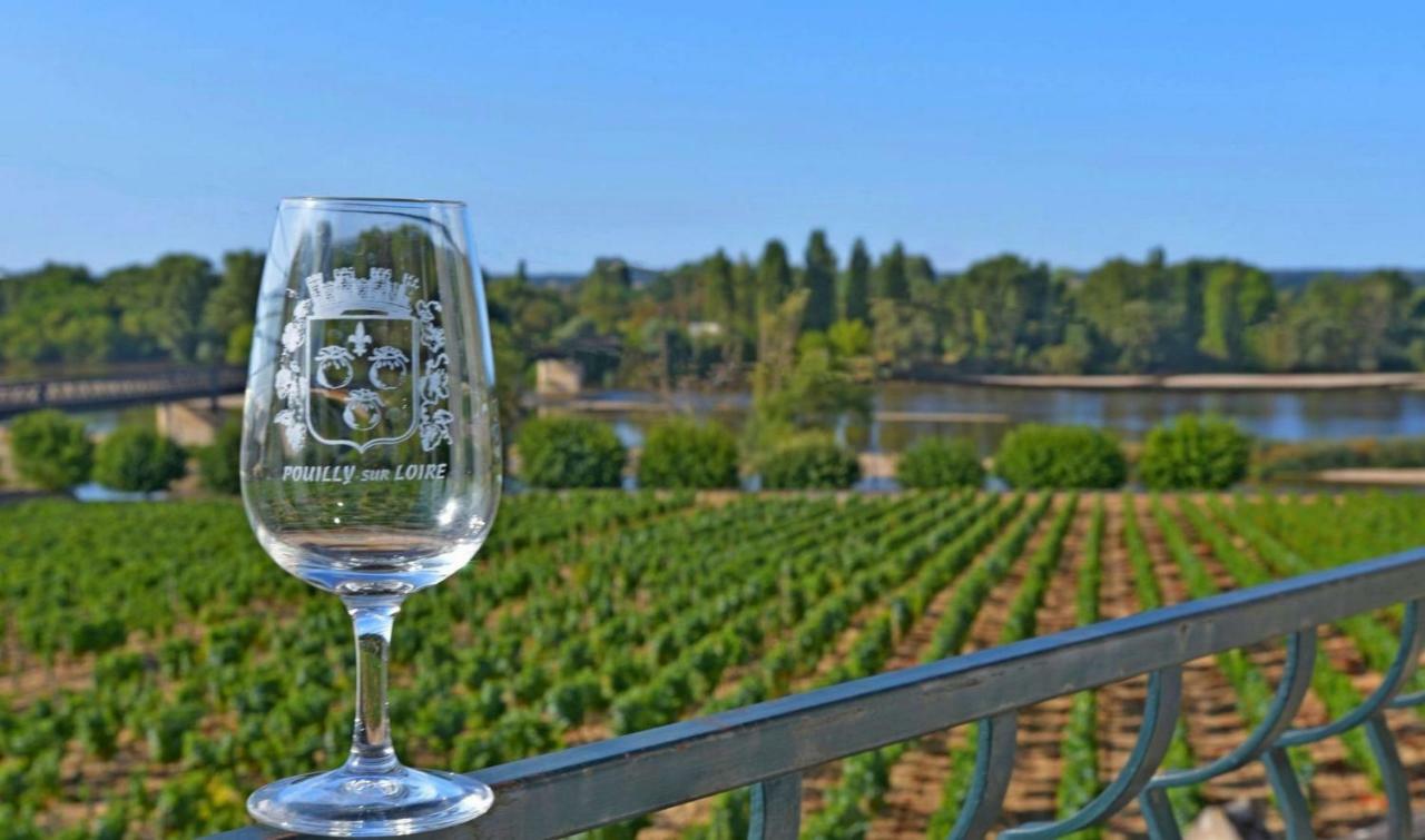 Gîte des Chaumiennes Pouilly-sur-Loire Extérieur photo