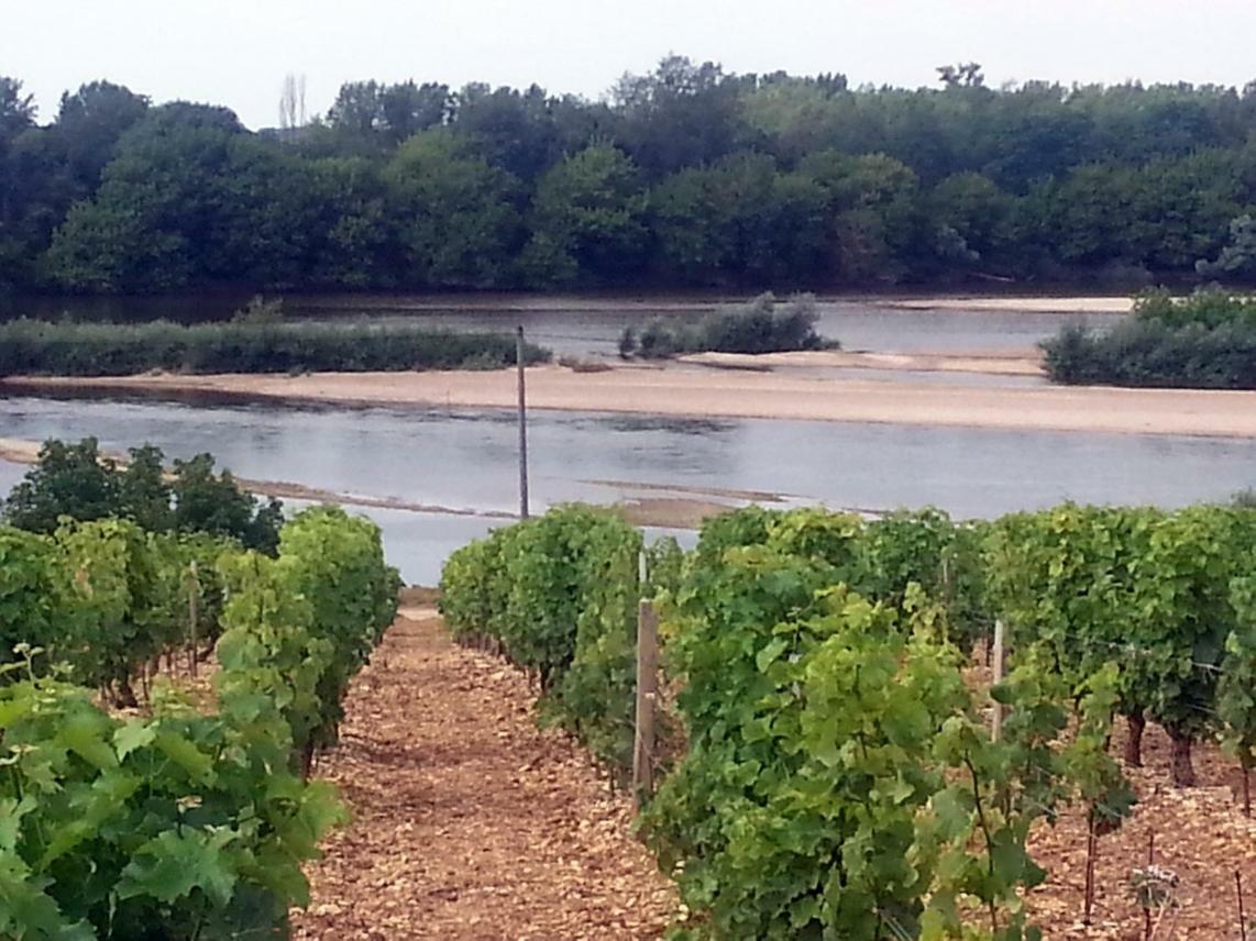 Gîte des Chaumiennes Pouilly-sur-Loire Extérieur photo